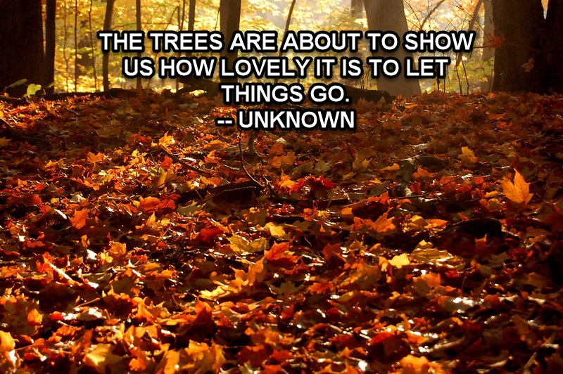 falling leaves with white text overlay that says 