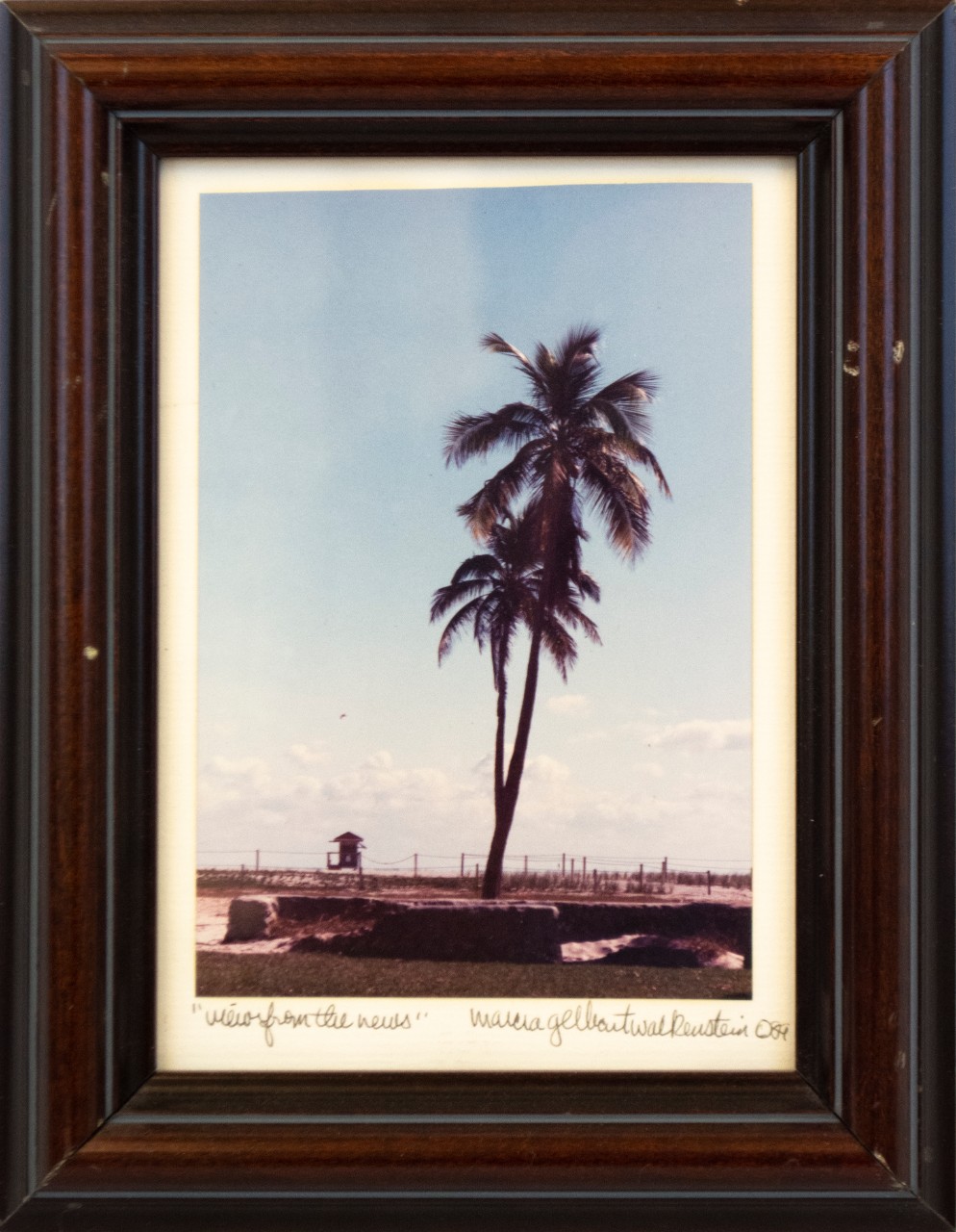 An Image of a Tree