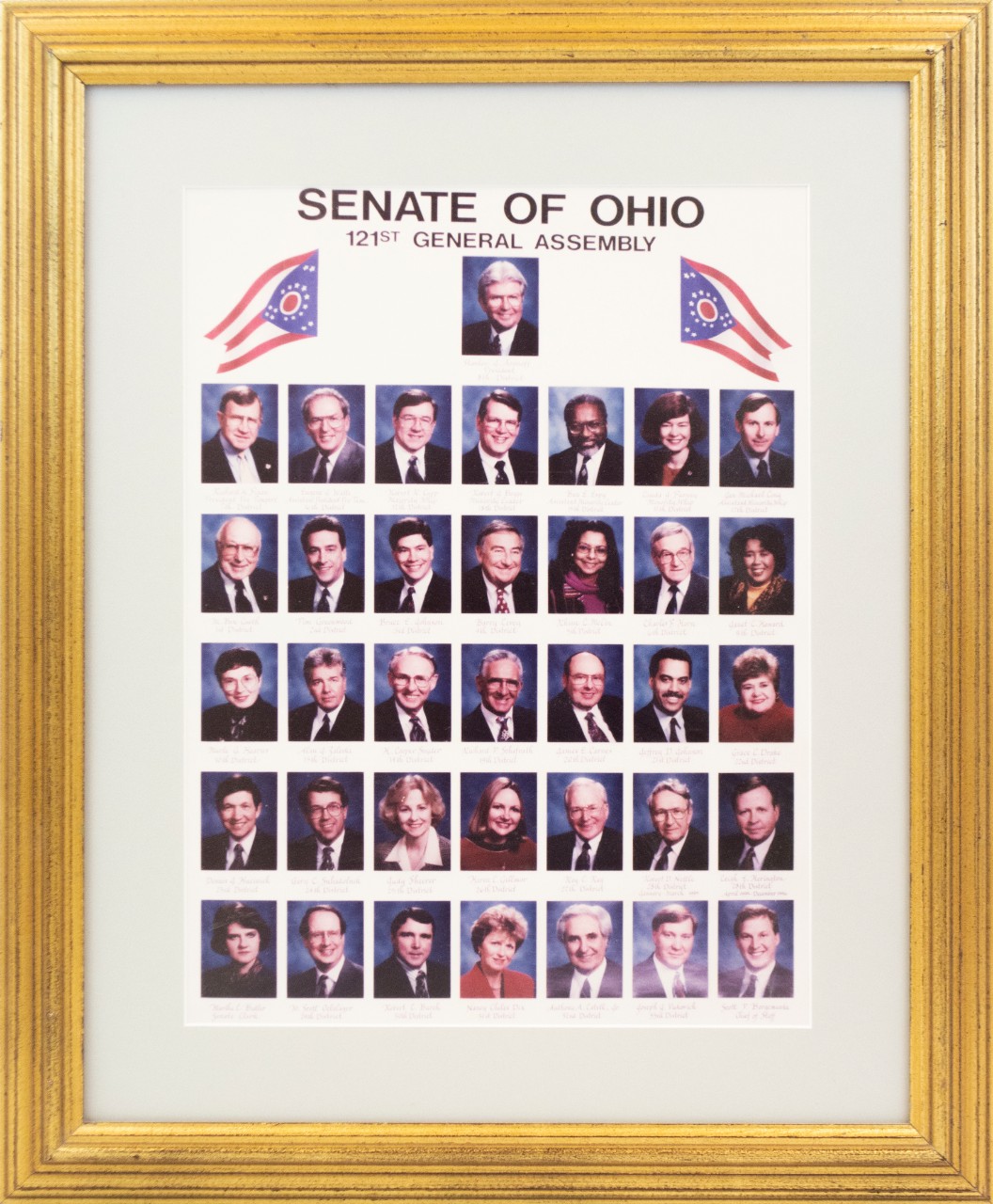 Senate of Ohio 121st General Assembly
