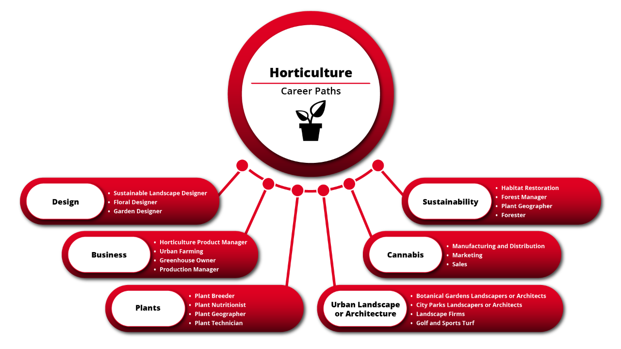 Career inforgraphic for the Horticulture program at DAAP.